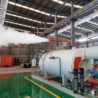 Chaudière à vapeur au gaz Huanuo 150 psi 200hp 250 hp 4 tonnes