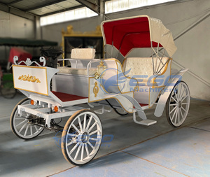 Charrette royale électrique de luxe à quatre roues pour transport extérieur spécial, type charrette de princesse pour 7 personnes, idéale pour le tourisme - Product Image 4