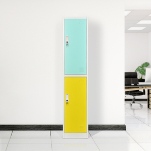 Armario Metálico de 2 Puertas Personalizado, Utilizado en Diferentes Lugares - Product Image 1