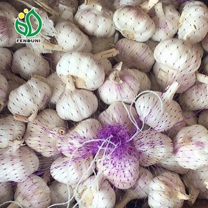 Semillas de <span class=keywords><strong>Ajo</strong></span> en la Agricultura - Product Image 2