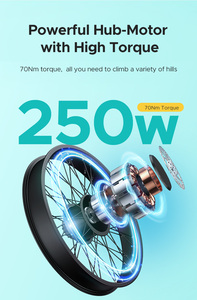 Envío Directo ENGWE E26 Bicicleta de Montaña con Neumáticos Gruesos para Nieve, 250w, 26*4.0 pulgadas, 48v16ah, Versión Masculina, Plataforma Alta -Negro E26-EU E26 High-S - Product Image 3