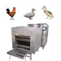 Équipement d'abattage de volailles à haute productivité automatique, équipement d'abattage de poulets/canards