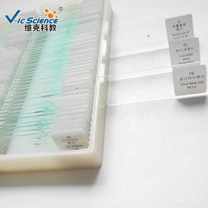 شرائح مجهرية تعليمية معدة مسبقًا لعلم الأحياء الدقيقة عالية الجودة، 12 قطعة من شرائح ميكروسكوب معدة مسبقًا لعرض تطور الخصية في البصل - Product Image 5