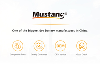 Baterai OEM 1.5V Non Rechargeable Primer 65g Silinder untuk Mainan, Jam, dan Remote Control