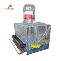 Cage à cailles FXL de petite taille avec abreuvoir automatique et plateau à œufs coulissant pour l'élevage de cailles coturnix, d'oiseaux et de volailles.