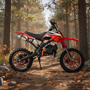 Prix direct usine 2026 Moto tout-terrain 50CC à essence pour enfants, refroidissement par air, 2 temps, chaîne, 40-60km/h PCA-01 Livraison gratuite - Product Image 1