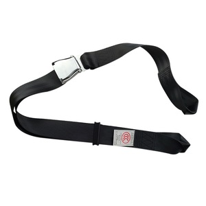 Correas de Seguridad para Silla de Ruedas, Arnés de Sujeción para Cintura, para Personas Mayores, Discapacitados, Adultos, Pacientes, Rehabilitación, Nailon - Product Image 1