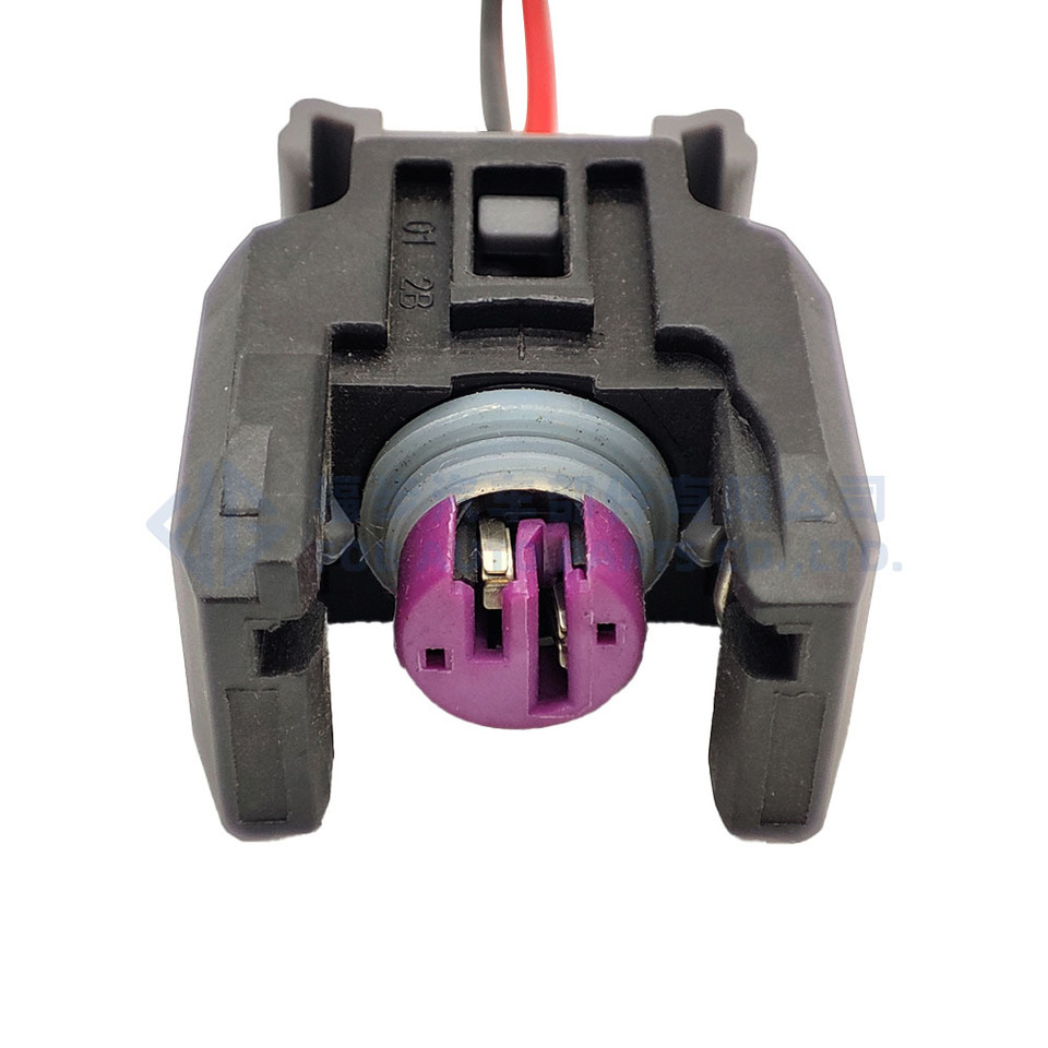 0090-049 2Pin sealed diesel common rail engine H5H6 injector nozzle connector plug For Buick The Great Wall 13816706 with wire