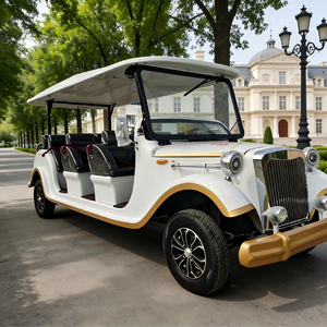 Venta Caliente: Coche Turístico Clásico Retro de Lujo, Autobús Turístico, Coche Eléctrico Vintage de Nueva Energía para Resorts, Bodas y Turismo - Product Image 1