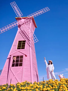 Hà Lan cối xay gió bằng gỗ cho ngoài trời trang trí sân vườn chất bảo quản điện ROTARY hoa biển vui chơi giải trí thiết bị - Product Image 4