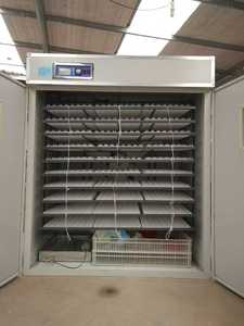 Solar Power 1056 Agricultura Incubadora De Ovos Na África Incubadoras De Ovos Máquina De Chocagem Automática - Product Image 3