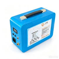 Batería de Fosfato de Hierro y Litio de 12V 100Ah/300Ah LiFePO4 con BMS Inteligente Integrado, Ligera y Duradera para Almacenamiento de Energía y Estaciones de Energía