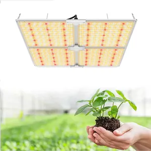 600W 640W AC110V to 240V Led Grow Light full spectrum Far Red Hyper Red for commercial horticulture cultivation