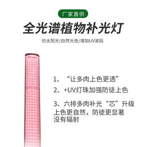 <span class=keywords><strong>Lampe</strong></span> <span class=keywords><strong>de</strong></span> <span class=keywords><strong>culture</strong></span> LED T5 à spectre complet, étanche IP65, quatre rangées, <span class=keywords><strong>pour</strong></span> plantes succulentes, coloration UV, supplémentaire <span class=keywords><strong>pour</strong></span> <span class=keywords><strong>semis</strong></span> <span class=keywords><strong>de</strong></span> fleurs - Product Image 3