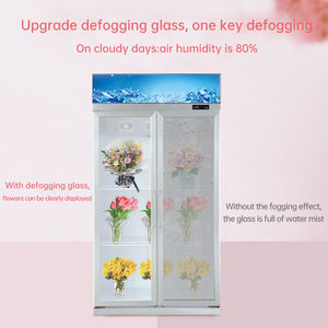 <span class=keywords><strong>ตู้</strong></span>เย็นเก็บ<span class=keywords><strong>ดอกไม้</strong></span><span class=keywords><strong>สด</strong></span><span class=keywords><strong>ดอกไม้</strong></span>สองประตู<span class=keywords><strong>ตู้</strong></span>โชว์แนวตั้งดอกไม้ตู้โชว์แอร์เย็น - Product Image 5