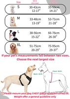 En gros, Harnais rembourré en maille en polyester pour chien, avec anneau en D métallique renforcé, et laisse anti-choc et anti-rupture, pour la promenade et la maison