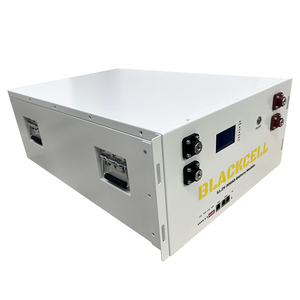 ชุดแบตเตอรี่ลิเธียมแบบชาร์จได้ DIY 51.2V LiFePO4 พร้อมเคสแบบกำหนดเองสำหรับระบบพลังงานแสงอาทิตย์และพลังงานสำรอง - Product Image 4