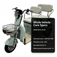 Tricycle électrique pour passagers, 3 roues, rickshaw pour adultes, 3 places, carrosserie ouverte, trike de loisirs avec panier avant et éclairage LED
