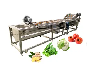 Joyshine Ce Volautomatische Met Lifting Functie Tomaat/Aardbei Reinigingsmachine Plantaardige Wasmachine Fruit Wasmachine