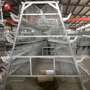 Venta Directa de Fábrica Silver Star, Jaula de Batería para Aves de Corral de <span class=keywords><strong>3</strong></span> Niveles y 120 Capas para Granjas Nigerianas - Product Image 5