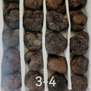 Tartufo Nero di Lusso 100% Naturale dello Yunnan all'Ingrosso in Vendita - Product Image 3