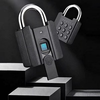 Cadenas Biométrique de Sécurité pour Unités de Stockage, Entrepôts, Rayonnages, Dépôts, Cages, Espaces Industriels et Baies de Protection