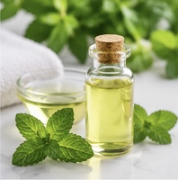 Huile essentielle de menthe poivrée naturelle de qualité cosmétique, séchée par atomisation
