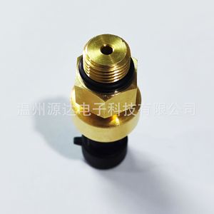 Sensor de Presión de Admisión Wzyddz 194-6722 para Motor de Excavadora Carter 0-600 bar, Piezas de Maquinaria de Construcción, Garantía de 3 Años - Product Image 5