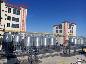 Silo de acero de alta capacidad y que ahorra espacio con fondo tipo tolva para almacenamiento de arroz - Product Image 2