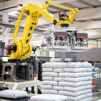 Robot industriel pour sacs de boissons de 25 kg et 50 kg, pour cartons, sacs d'aliments pour animaux, ligne de palettisation et d'empilage FANUC, palettiseur robotisé