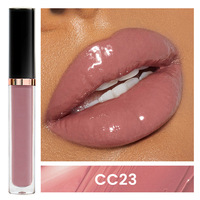 Brillant à lèvres 48 couleurs Maquillage des lèvres tendance Tubes de brillant à lèvres mignons avec emballage personnalisé Rouge à lèvres transparent rose nude