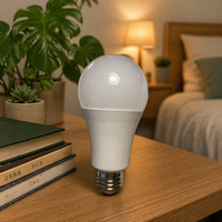 Ampoule LED Dimmable Sans Scintillement E26 120V Spectre Complet CRI97 Lumière Naturelle pour Bureau Chambre Photographie