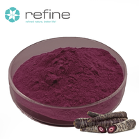 Poudre de carotte noire naturelle de qualité supérieure, 10% d'anthocyanes, extrait de carotte noire en poudre, colorant naturel