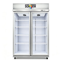 Vitrines réfrigérées pour boissons, supermarchés, épiceries, restaurants, réfrigérateurs, modèles verticaux