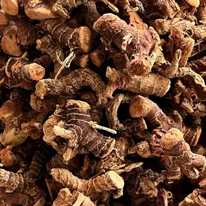 ZZH chine fournisseur d'épices domestique galangal-herb chine produit naturel racine de galangal séchée à l'air