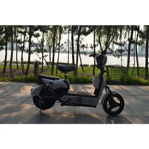 NEW 48V 12A ELECTRIC BIKE/ELECTRIC BICYCLE Two Seater Electric City