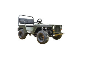 JP 125 Kid UTV <span class=keywords><strong>Mini</strong></span> para <span class=keywords><strong>Jeep</strong></span> Todoterreno 2WD Automático con Motor de 4 Tiempos 125cc Certificado por la EPA - Product Image 3