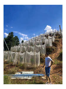 ตาข่ายป้องกันแมลงใช้ในการเกษตรตาข่ายกันแมลง - Product Image 4