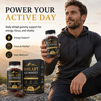Gummies de Shilajit Haute Puissance 500mg Mélange Triple avec Acide Fulvique et Oligo-éléments 60 Comprimés Complément Alimentaire en Gummies ODM