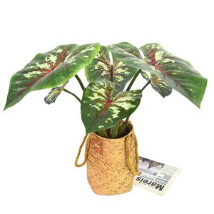 Faux feuillage imprimé en 3D grande plante caladium feuille à feuilles persistantes artificielle pour la décoration de <span class=keywords><strong>bonsaï</strong></span> - Product Image 4