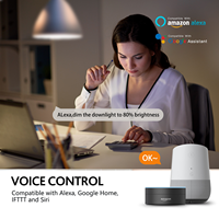 Ampoule LED intelligente WiFi RGB 9W/10W avec minuterie pour lampadaire, commande par application/télécommande/commande vocale
