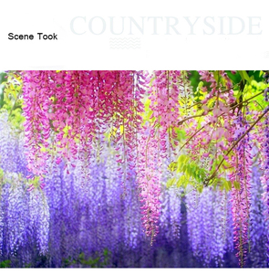 Guirlande suspendue de fleurs artificielles de glycine de 110 cm, fausse vigne de glycine pour décoration d'arche de mariage, <span class=keywords><strong>plafond</strong></span>, mur, vente en gros - Product Image 2
