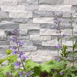 Carreau de mur de pierre de placage de pierre de rebord de quartzite pierre empilée