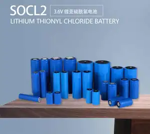 AAA 3.6V ER10450 LITHIUM CELLLithium Thionyl Cloreto (Li/SOCI2) Testing Instruments Bateria 900mah Bateria primária de longa duração