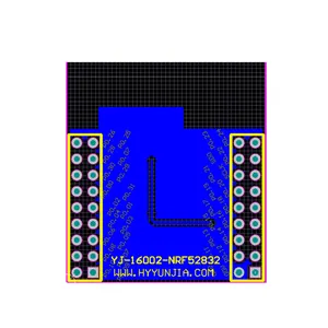 Holyiot nRF52832 Module Fournisseur Ble Beacon Capteur de température et d'humidité Iot Ibeacon Module Blue Tooth Ble 4.2 Ble 5.0