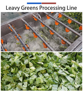 1-3t/h Leafy Greens Salad Vegetable Cutting Washing and Drying Machine - Product Image 5