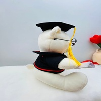 Ours en peluche de graduation de qualité supérieure, cadeau mignon pour garçons, filles et fêtes