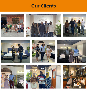 Tốt nhất giường đôi nội thất khách sạn Túi cuộn nệm trong hộp với thông gió để bán - Product Image 5