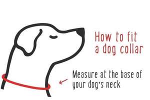 Luxy-Collar de cuerda prémium para perro, Correa con correa recubierta, impermeable, a prueba de olor - Product Image 6