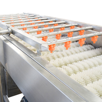 Industriële machine voor het reinigen van wortelgroenten en fruit met motor, 304 roestvrij staal, automatische rolwasmachine met hoge capaciteit